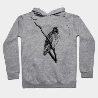 Hawk Ink Drawing Hoodie